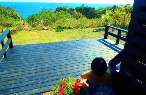 Yakushima Cabin | 森のフェアリー Cottage Morino Fairy All cotage with open-air bath with sea view or river view