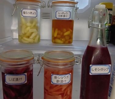 Kitsuki House | 横城ゲストハウス 自然豊かなプライベート空間 古民家一棟貸しの宿