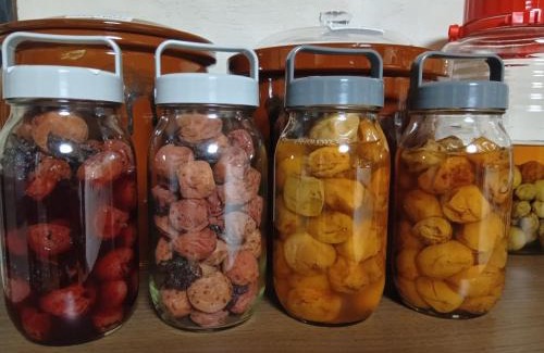 Kitsuki House | 横城ゲストハウス 自然豊かなプライベート空間 古民家一棟貸しの宿