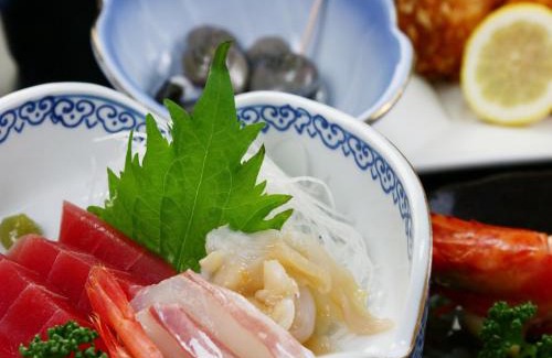 Makinohara Bed & Breakfast | 民宿東海