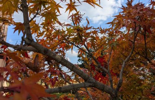 Kikuchi House | 民泊サライ七城
