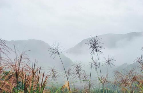 Minamata Hotel | 湯の鶴迎賓館鶴の屋Tsurunoya
