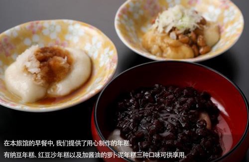 Nanyo Hotel | 赤湯温泉 丹泉ホテル