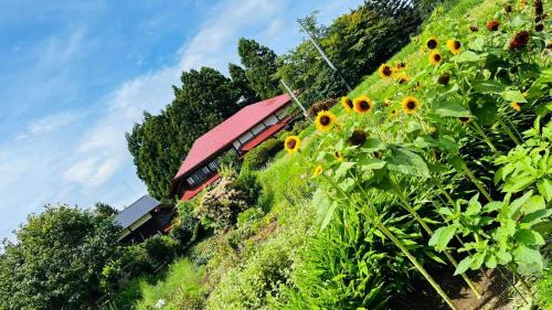 Oga House | 農家民宿と古民家カフェ 里山のカフェ ににぎ