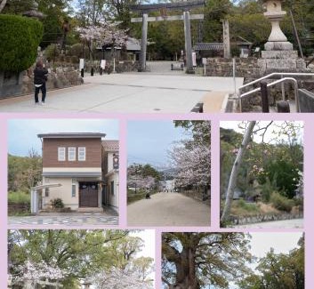 Tanabe House | 闘鶏の家