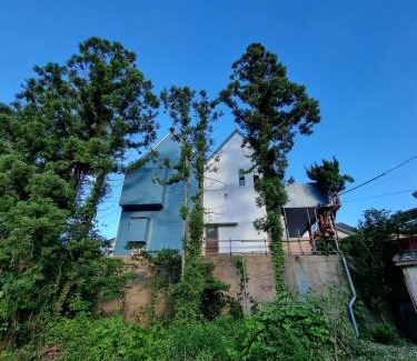 Tsushima House | 대마도쇼핑구마에하우스