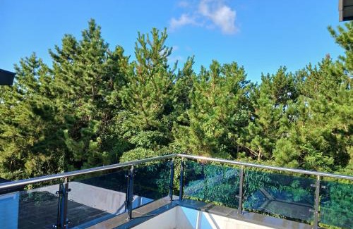 Hallim House | 스테이두모락