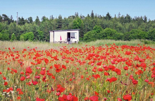 Klintehamn House | 1 bedroom cozy home in Klintehamn