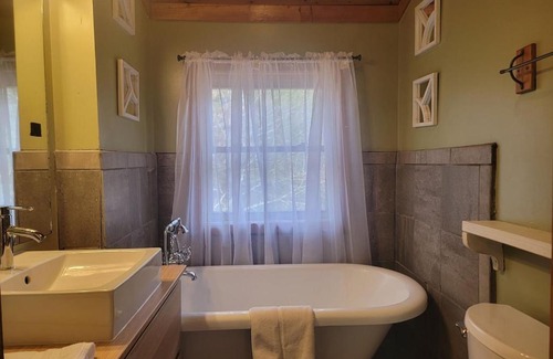 Vein Mountain House | 1 bedroom with a loft and hot tub cabin 45 minutes to Asheville