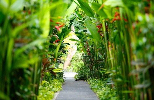 Nakula Villa | 1 BR Villa in Seminyak with 36 sqm Private Pool, 5 mnts walk to the beach
