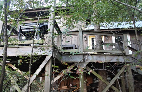 Pocahontas House | 11 Point River Front Cabin, 7 acres, hiking trails, with a private beach!