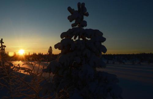 Ljordal Apartment | 12 - Fulufjellets nasjonalparker - snø - alpint - langrenn - snøscooter