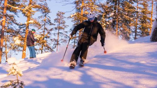 Ljordal Apartment | 12 - Fulufjellets nasjonalparker - snø - alpint - langrenn - snøscooter