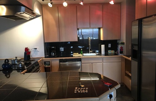 Downtown Denver Condo | 15th fl downtown w/Mtn. View, spacious, safe - Denver license #2023-BFN-0051906