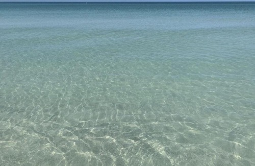 Pass-a-Grille House | 1BR 1BA NorthStar Bungalow. Just Steps to the beach and the bay.