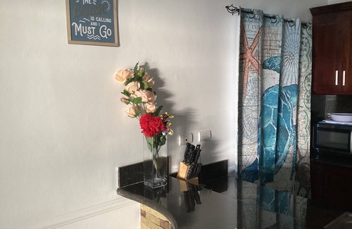 El Batey Condo | 1br/2ba Oceanfront Poolside NEW Hill Top Condos Playa Alisha Beach