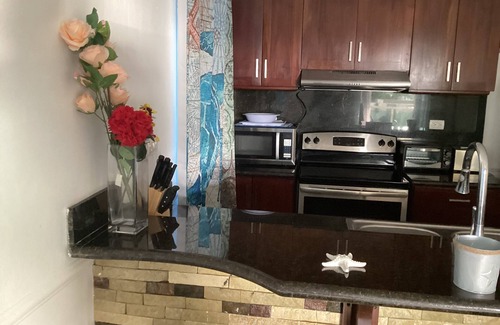 El Batey Condo | 1br/2ba Oceanfront Poolside NEW Hill Top Condos Playa Alisha Beach