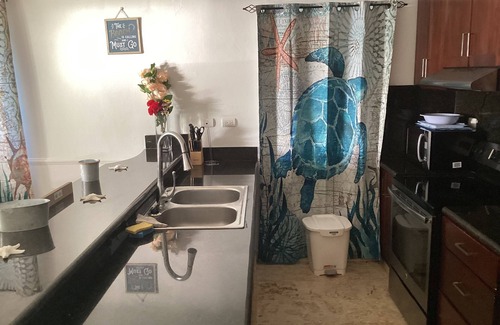 El Batey Condo | 1br/2ba Oceanfront Poolside NEW Hill Top Condos Playa Alisha Beach