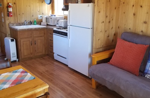 Mammoth Lakes Cabin | - 1BR tiny home—best for 2–4 guests, pet-friendly, mountain views