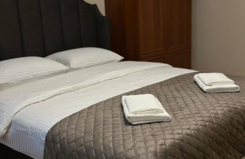 Chernovtsy Apartment | 2-к квартира в Черновцах