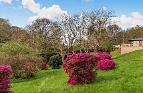 Newport House | 2 Bed in Newport 94717