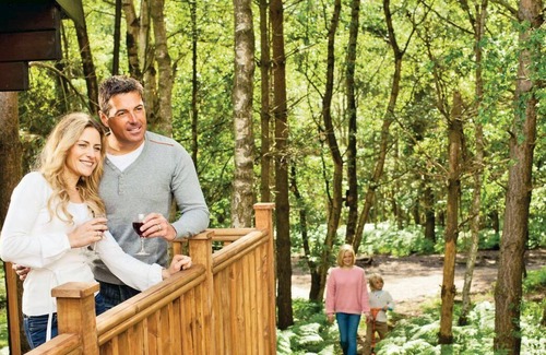 Edwinstowe Cabin | 2 bedroom accommodation in Sherwood Forest, Rufford