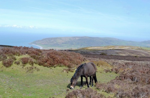 Oake Cottage | 2 bedroom accommodation in Oake, near Taunton