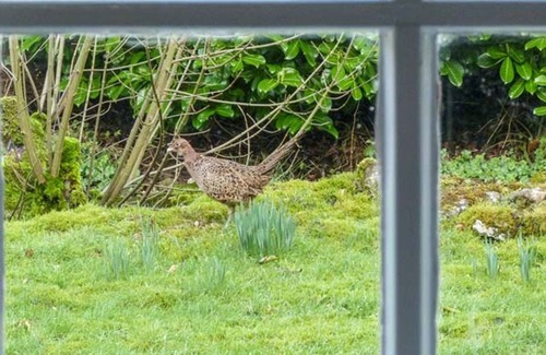 Buckden Cottage | 2 DALEGARTH, pet friendly, with a garden in Buckden