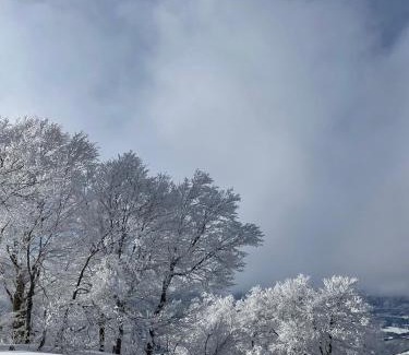 Shiroishi Apartment | 2024年3月新規オープン-最大16名-駐車場2台無料-大画面ゲーム&映画鑑賞-札幌中心部まで車で10分