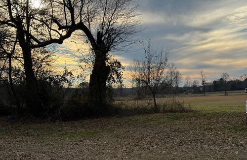 Centerville RV Rental | 2024 Total Eclipse RV site at the base of Petit Jean Mountain