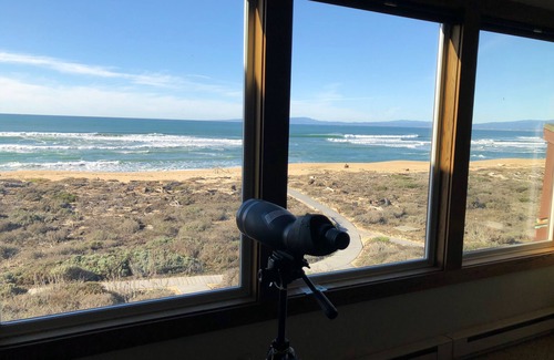 Castroville House | 28 Sec Walk to Beach: Steam shower, Lululemon Mirror, Power Outage-Free Living