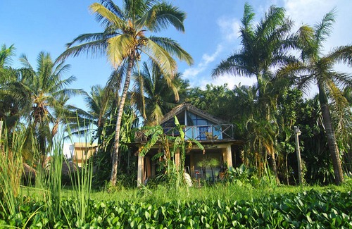 ProCab House | 2BD treehouse in lush tropical settings, near restaurants/shops/beach
