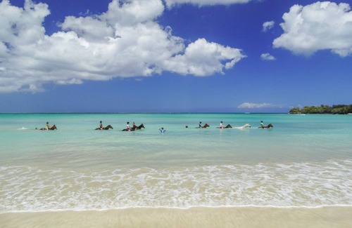 Buccoo Apartment | 2BR 2BTH Apt w patio & garden 3 mins walk to beach boardwalk shops & restaurants