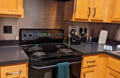 Downtown St. Louis Apartment | 2BR with W&D Mins To Americas Ctr STL Downtown