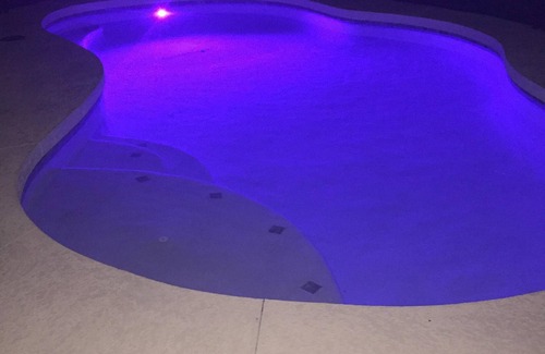 Bradenton House | *3/2 PARADISE POOL RETREAT HOME* FLORIDA RELAXATION,CLOSE TO BEACH,IMG,