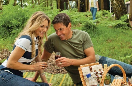 Edwinstowe Cabin | 3 bedroom accommodation in Sherwood Forest, Rufford