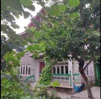 Srinagar House | 3 KMS TO DAL LAKE 2BR IN A RESIDENTIAL HOME