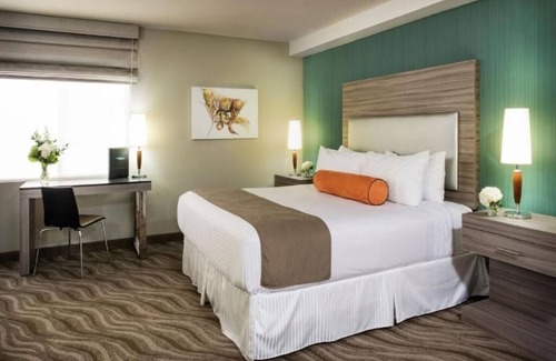 Little Italy Hotel | 3 Modern King Suites Near Harbor Views, Cruise Terminal, Zoo and Balboa Park