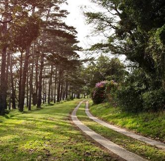 Port Elizabeth Apartment | 302 On Old Sea View Road Chelsea