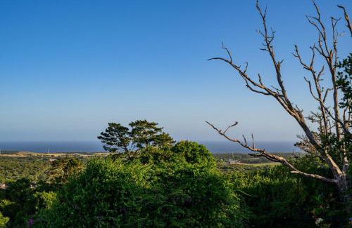 Port Elizabeth Apartment | 302 On Old Sea View Road Chelsea