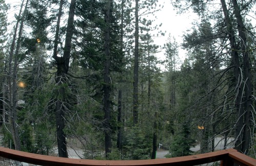 Pla-Vada Woodlands House | 3bd & 2bth home w/HOT TUB close to Ski Resorts & Truckee