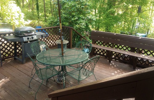 High Point House | 3br - 2.5ba, Kitchenette & Living Room near HPU, High Point Markets, & Hospitals