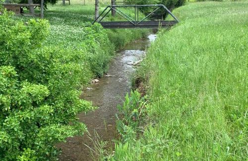 Franklin House | 3BR 2BATH Gorgeous Country Near Nashville F1