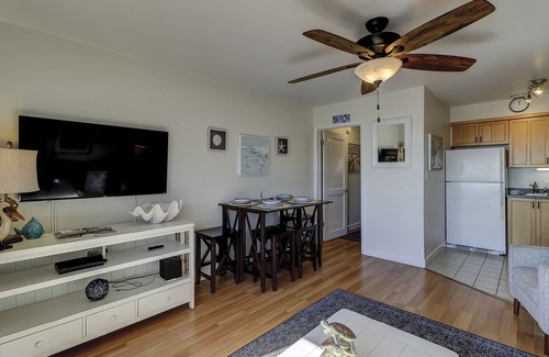 North Forest Beach Condo | 3rd Floor Ocean Views Updated luxury 1 BR Condo Bikes & Beach Gear included