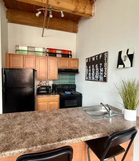 Detroit Apartment | 420 Friendly KING suite Downtown LOFT Free Parking & WiFi