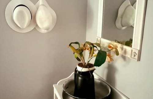 Villieria Bed & Breakfast | 464 On 22nd Ave Guesthouse