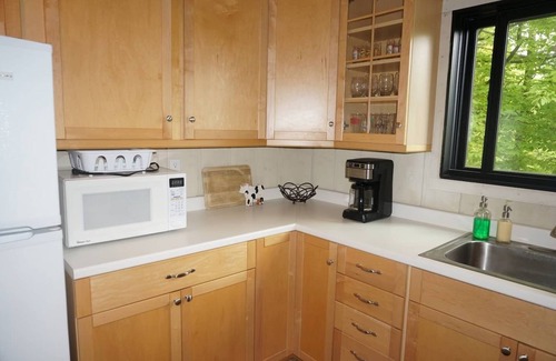 West Dover Ski Chalet | 4BR 2BA - MT SNOW, SKIBACK TRAIL, FREE SHUTTLE, POOL, BBQ - Green Mountain House