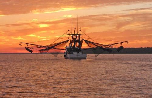 Saint Helena Island House | 527 Sunsuite