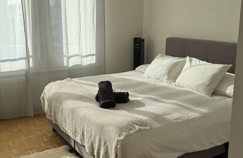 Jargonnant Apartment | 5th floor, charming 2-bedroom apartment , Centre of Geneva