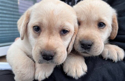 Kossow Apartment | 85 qm Wohnung zur Erholung